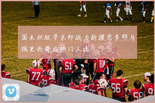 国米积极寻求即战力新援恩多耶与佩里西奇成热门人选